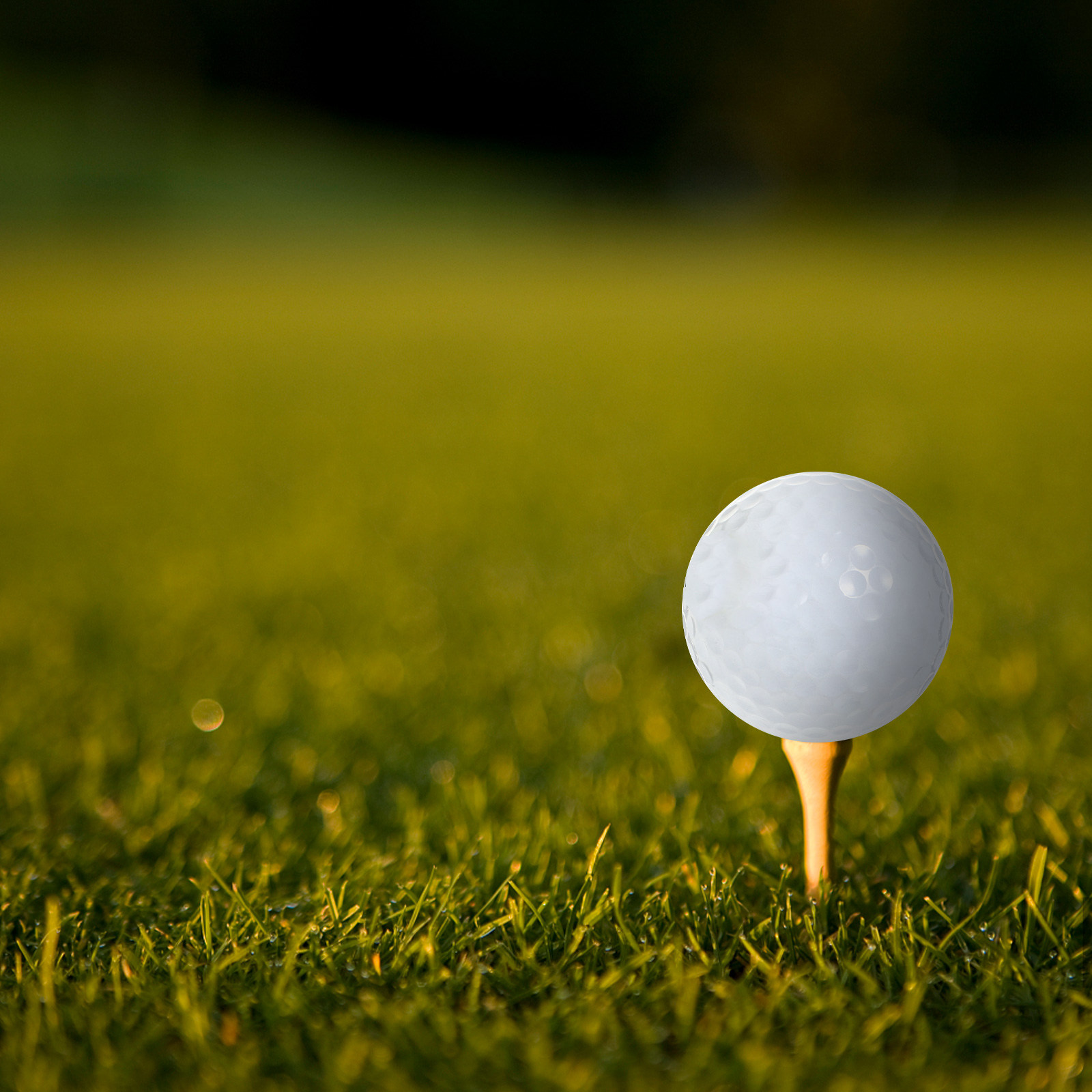 Golf Equipment Beginners - Peralatan Bola Golf Latihan Dalam Ruangan